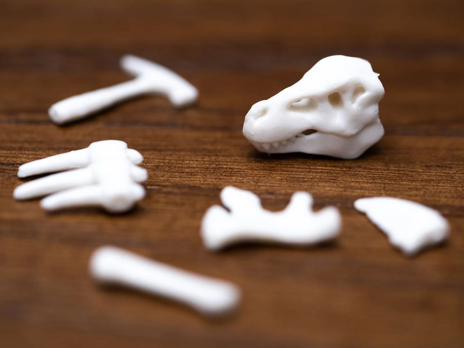 Fossilis 4